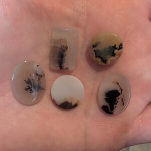 Natural Dendritic Agate Cabochons